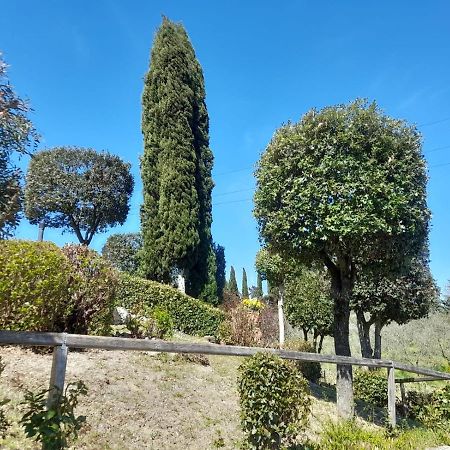 Villetta Dei Lecci Castelfiorentino Esterno foto